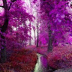 Meet your Posher, Galaxytracer